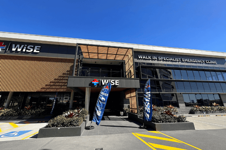 Wise Specialist Emergency